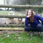 dorset holiday cottages