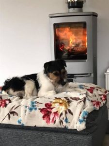 Cosy with your dog in front of log burner in holiday cottage