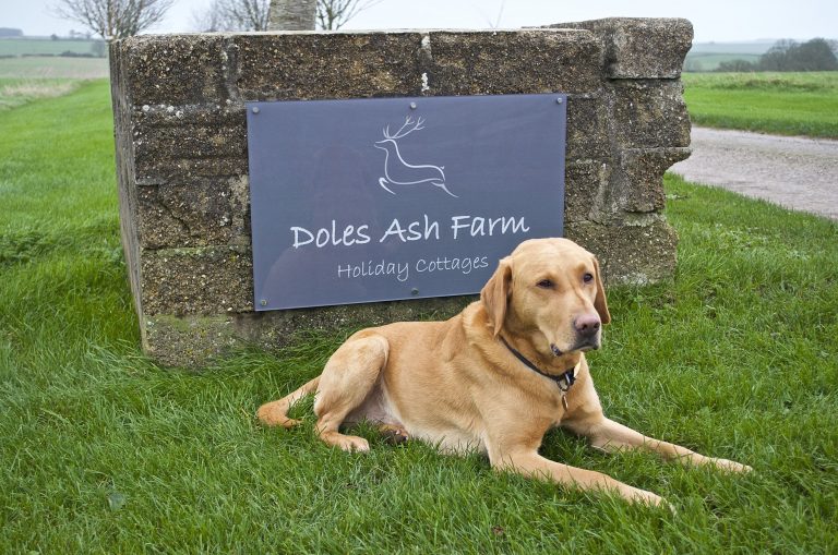 Dog Friendly Holiday Cottages Dorset