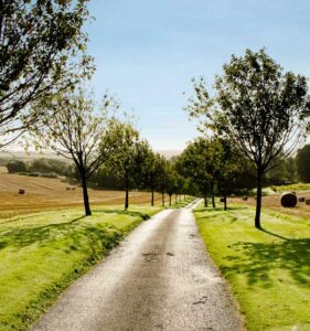 Holiday cottages in dorset countryside