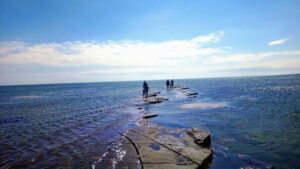 Sea Swimming Dorset