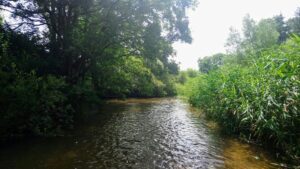 Eye Bridge, River Stour, Wimborne – River Swimming