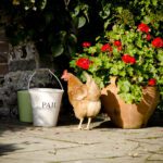 Dorset holiday cottages